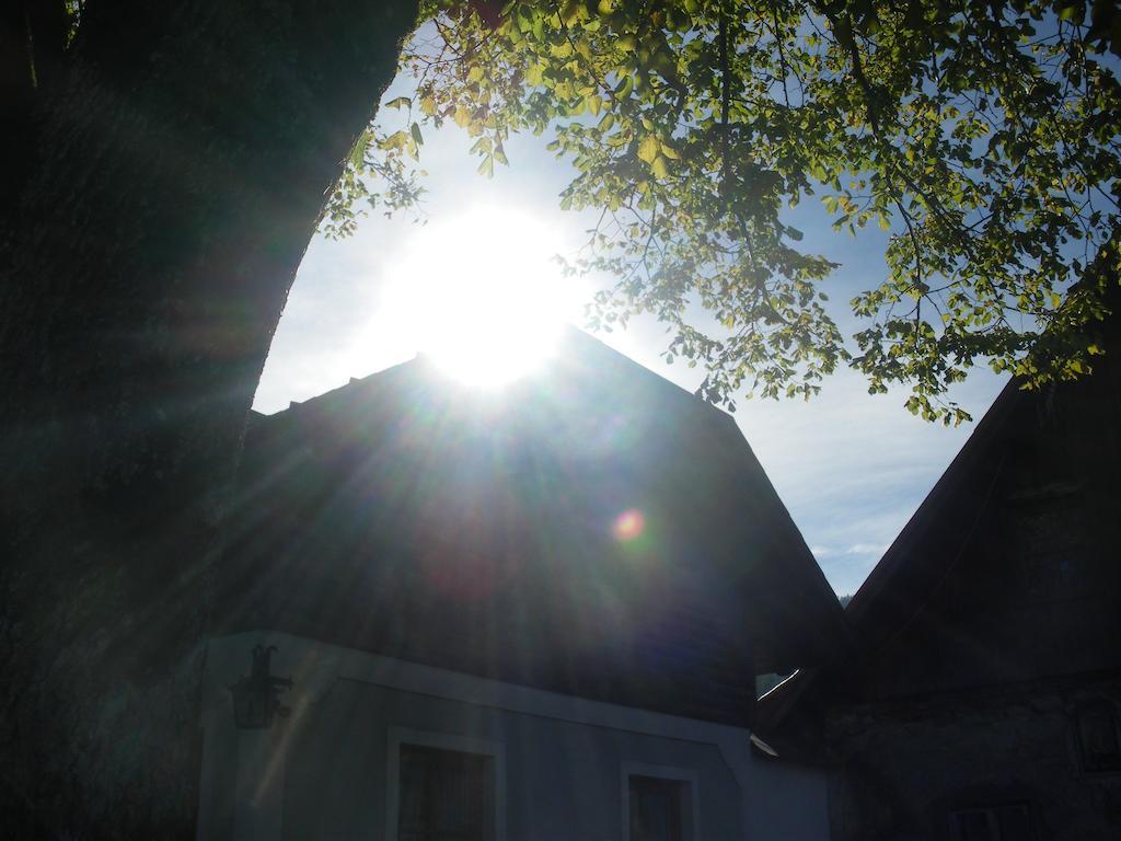 Bio-Bauernhof Kurzeck Villa Gostling an der Ybbs Bagian luar foto