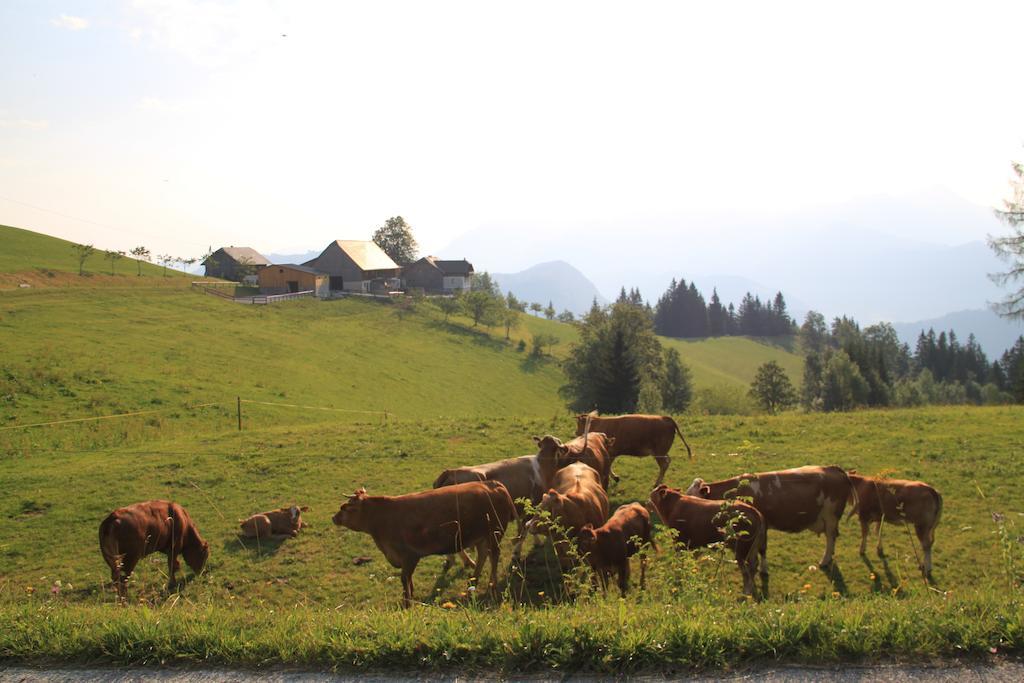 Bio-Bauernhof Kurzeck Villa Gostling an der Ybbs Bagian luar foto