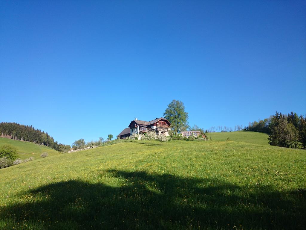 Bio-Bauernhof Kurzeck Villa Gostling an der Ybbs Bagian luar foto