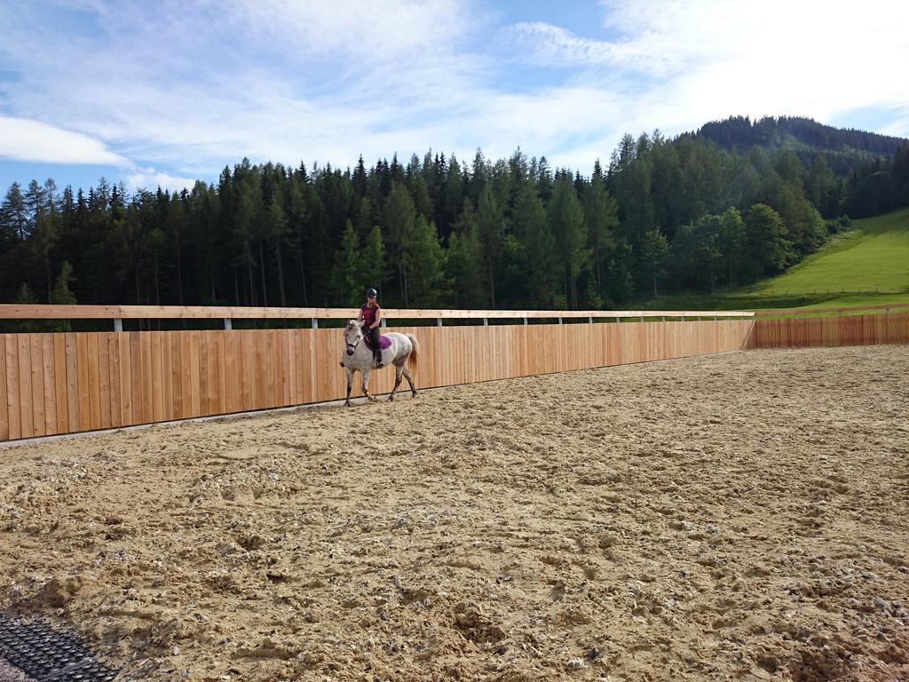 Bio-Bauernhof Kurzeck Villa Gostling an der Ybbs Bagian luar foto