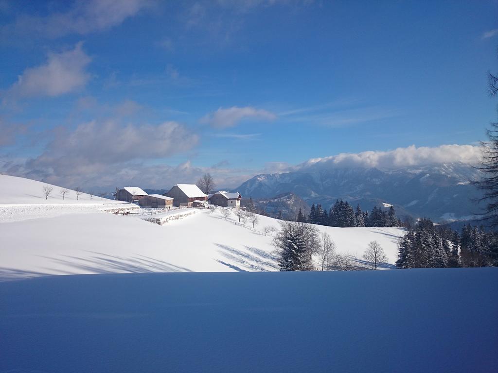 Bio-Bauernhof Kurzeck Villa Gostling an der Ybbs Bagian luar foto