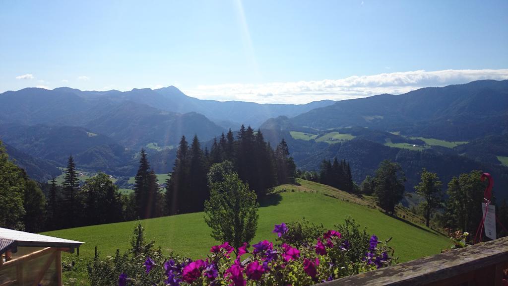 Bio-Bauernhof Kurzeck Villa Gostling an der Ybbs Bagian luar foto